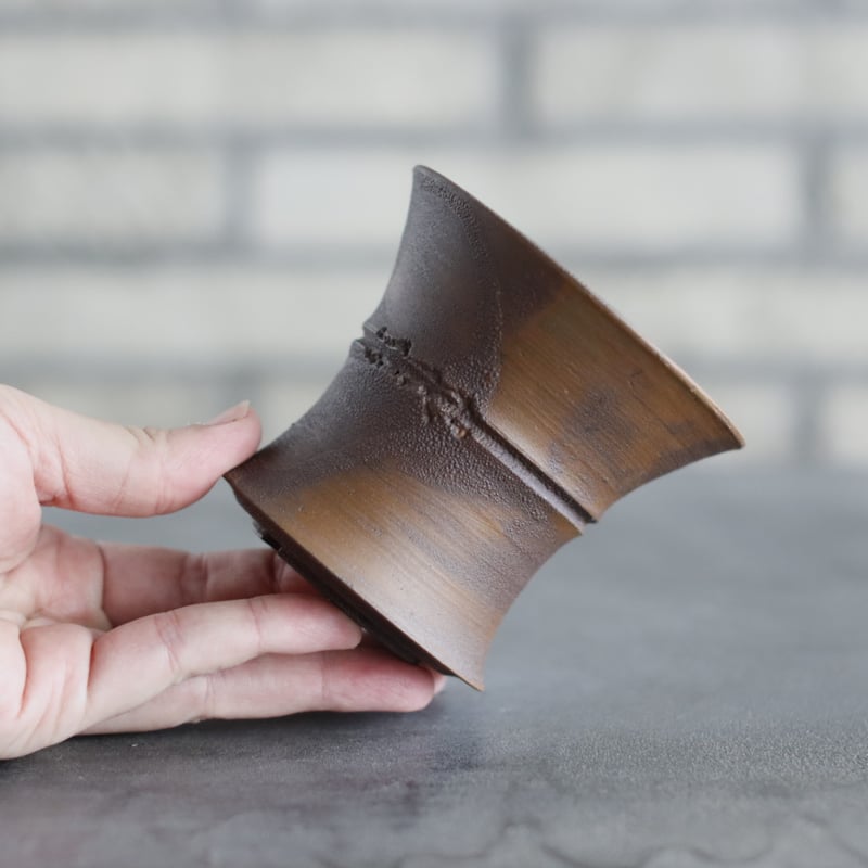 TAKERO POT / サビ / (3.5号) no.1116-16 | 芽の巣山