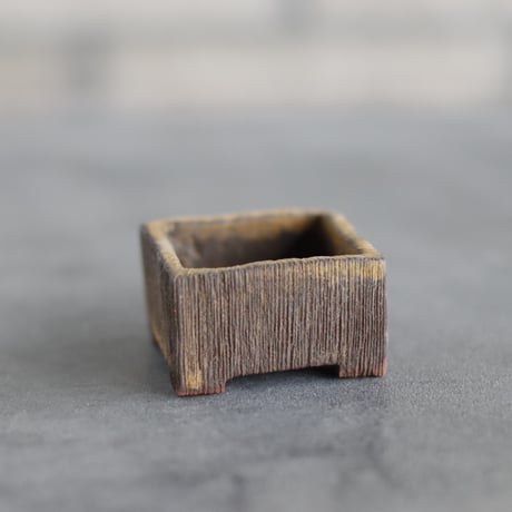 KEI CONDO (盆栽鉢1.5号) / twinz bonsai  no.1116-85