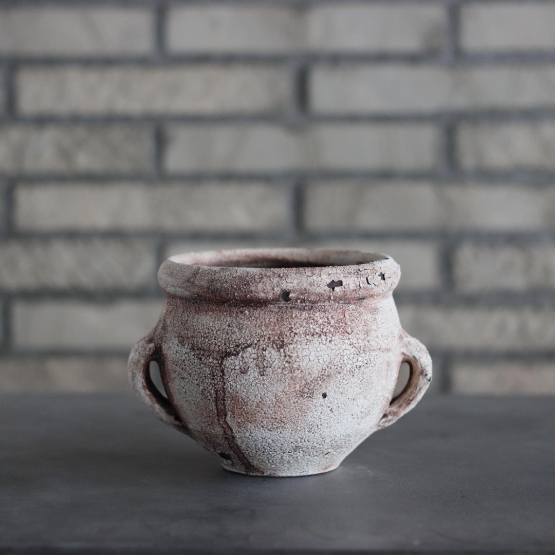 Shin Tabata / PLANETX (5.5号) no.301-8 | 芽の巣山