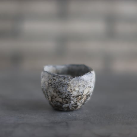 TAKERO POT / Shirosabi  (2.5号)   no.803-107