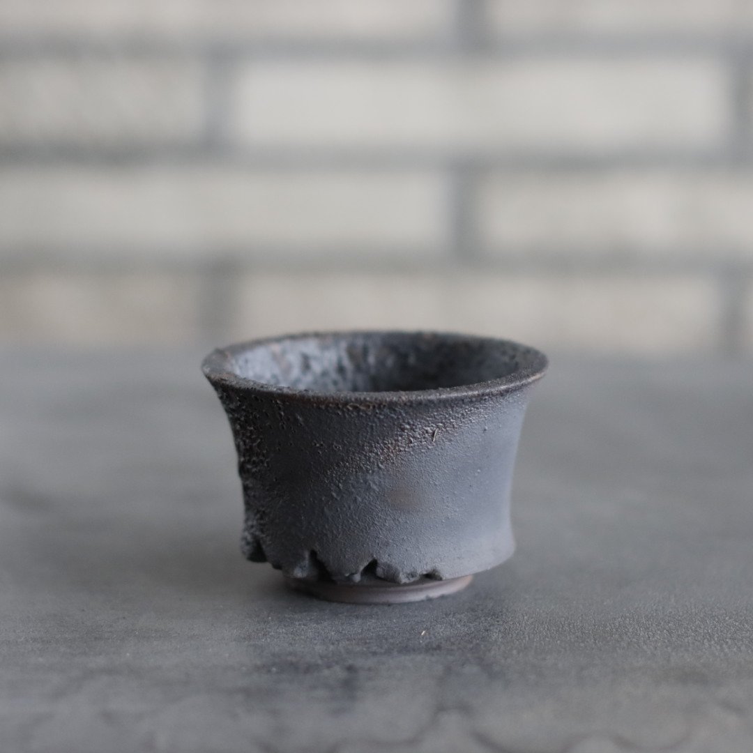 TAKERO POT / モミ / (3号) no.1116-78 | 芽の巣山