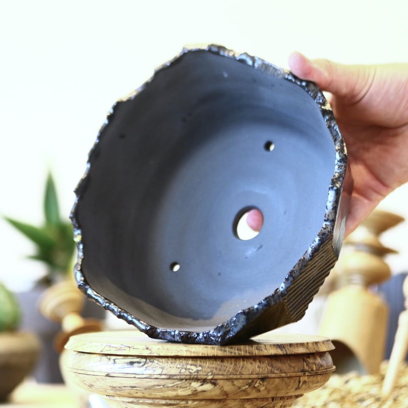 N/OH 澪標 盆栽鉢 / Black + gold line / L no.611 N/OH 陶器鉢