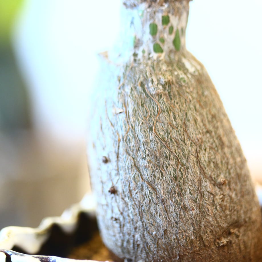 654f3089600537067bbdf5c7
