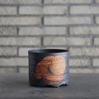 たけろうポット 大鉢 / 壺 / シロサビ no.1226-02 | 芽の巣山