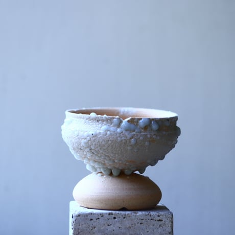 【HAKASEPOT】  DOTCHI ?     no.1227/28