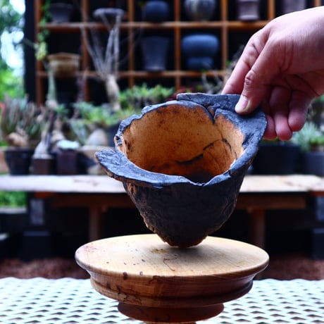 Ricca Okano 〝solaris″   /   humanity pot       no.561