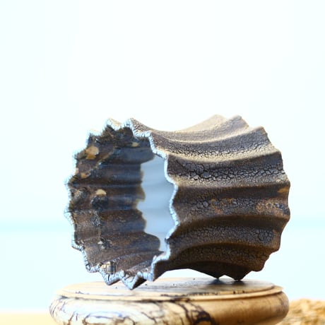 soso/礎礎 / Shape / Meta Reef / L-long     no.1001-63