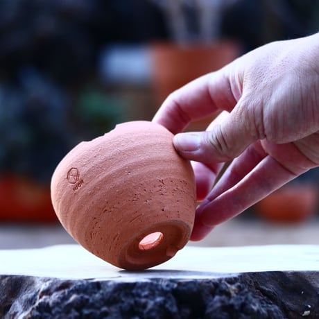 N/OH   コロ鉢  / XS / Persimmon   no.1121/2