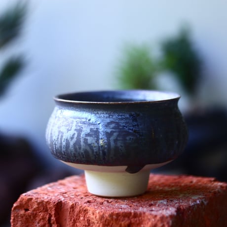 CATEGORY たけろうポット | 芽の巣山