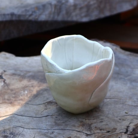 Mie  Maeda〝blanco″／humanity pot    no508146
