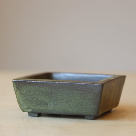 KEI CONDO / BONSAI BACHI   no.223/54