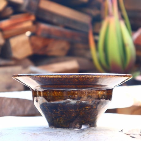Masato  Akutsu〝brown glaze″／humanity pot    no50825