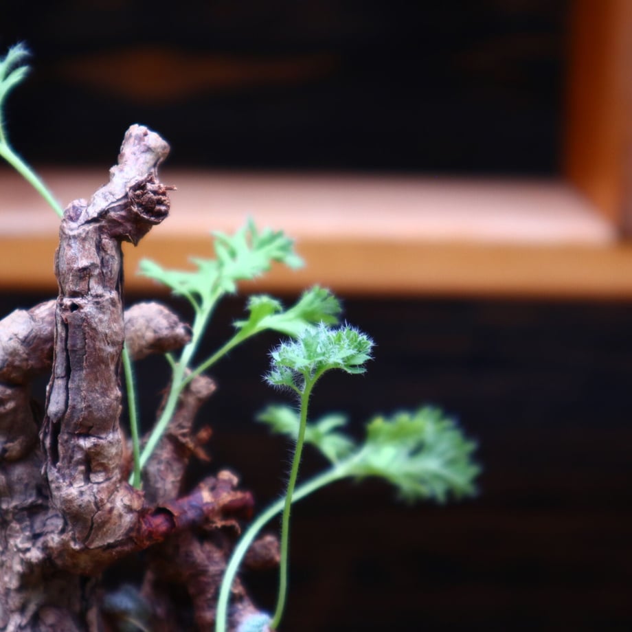 626390529fe3d72eb3053110
