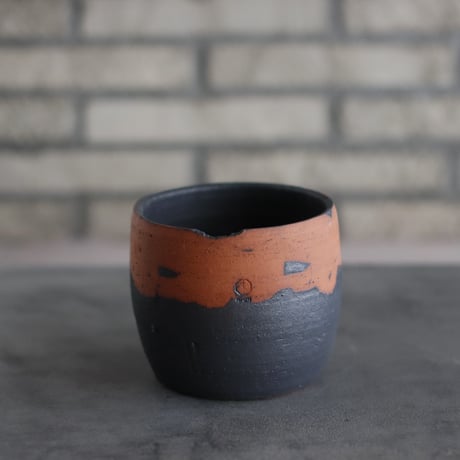 ◯芽の巣山購入 安西桂 鉢 CATEGORY 4号鉢 | 芽の巣山
