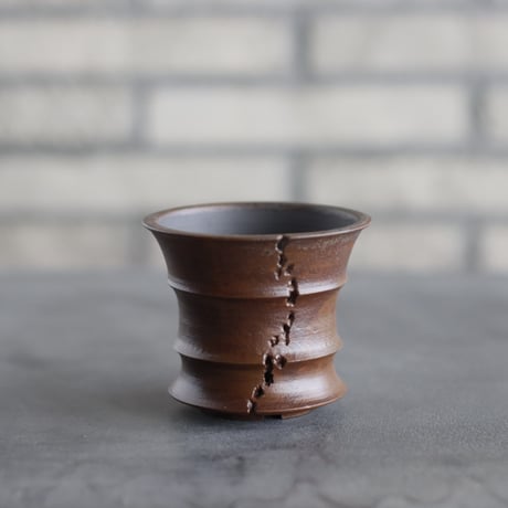 CATEGORY たけろうポット | 芽の巣山