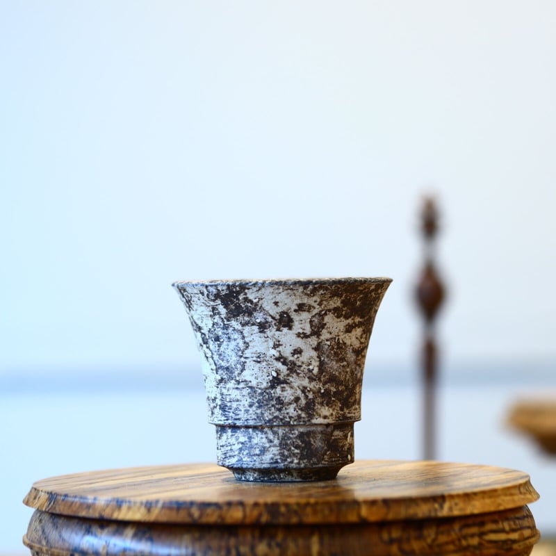 たけろうポット 大鉢 シロサビ 限定鉢 たけろうポット / シロサビ / マメ no.716-67 | 芽の巣山