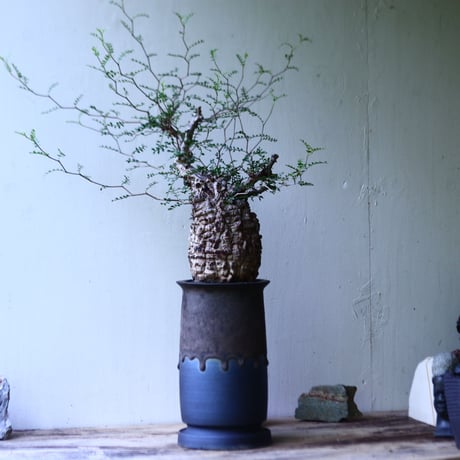 有馬和博 | STORES