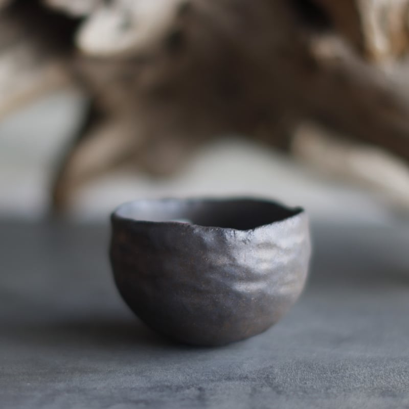 新品 たけろうポット TAKERO POT 椀型 テツ 金彩 M 鉢 T3