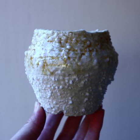 HAKASEPOT   SHIROTSUBU  /  ivory     no.21603