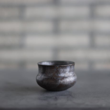 Shu Hirai -Rajasan- / PLANETX (2.5号)  no.1130-35