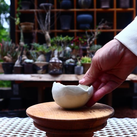 Mie  Maeda 〝blanco″   /   humanity pot       no.533