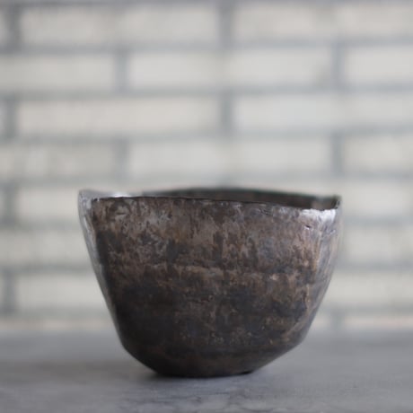 CATEGORY 大鉢 | 芽の巣山