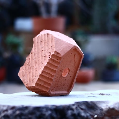 N/OH   応-OU- / SS / persimmon   no.1121/99