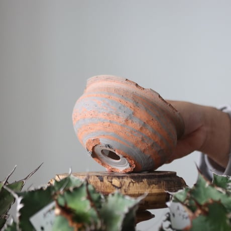 N/OH / MARBLE NOHBLE / コロ鉢 / SS   no.421-41