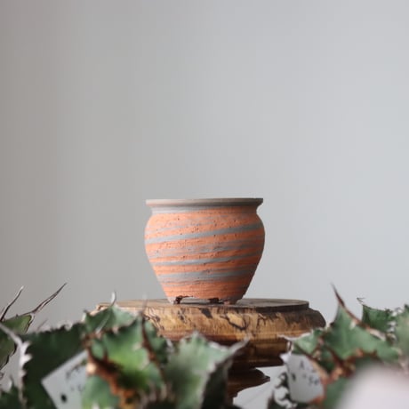 N/OH / MARBLE NOHBLE / コロ鉢 / XS   no.421-61