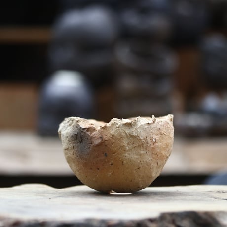 有馬和博鉢humanity 芽の巣山たけろうポットspicy gem