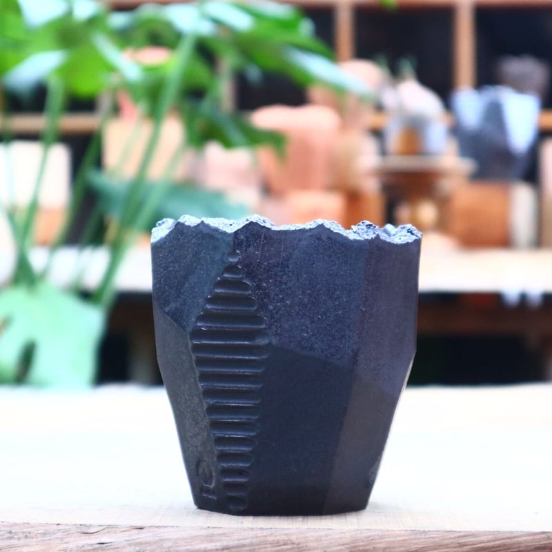 N/OH 澪標 紅富士 SSサイズ 鉢 陶器鉢/サボテン 植物 【公式通販】