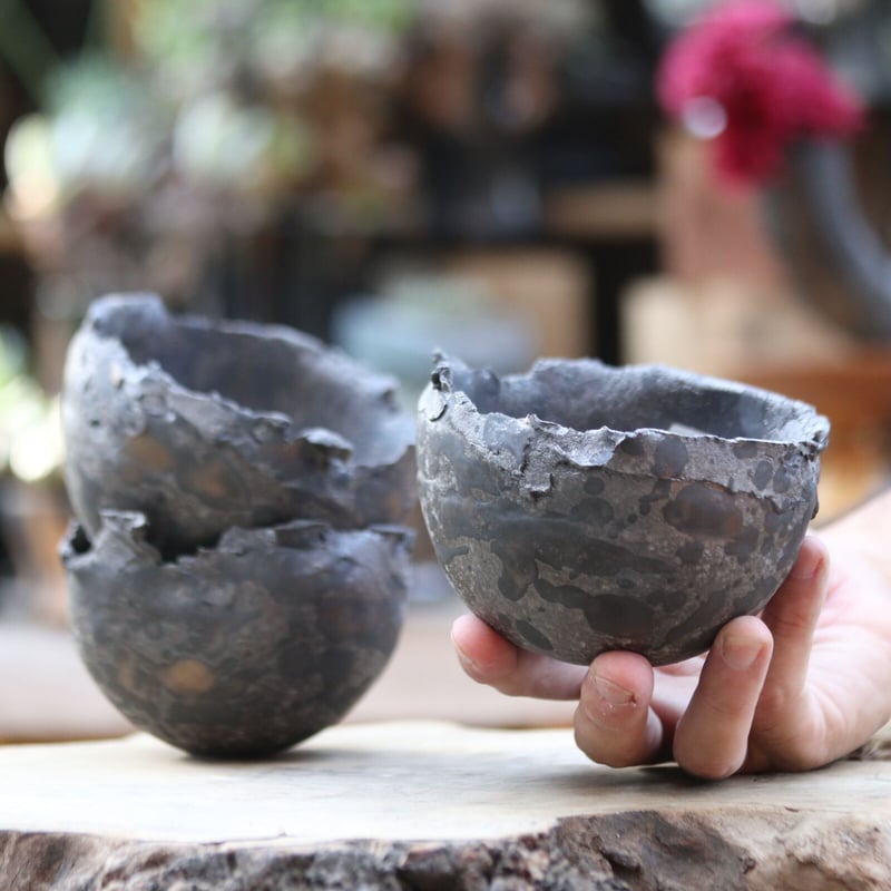 たけろうポット／クロサビ／チギリ／M no.1106-46 | 芽の巣山