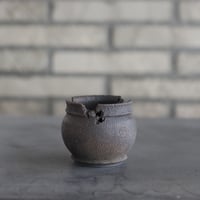 TAKERO POT / テツ / (4号) no.1207-5 | 芽の巣山