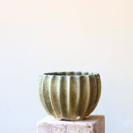 soso/礎礎 /Bowl /Olive Reef (base white)/M   no.212/ORM1
