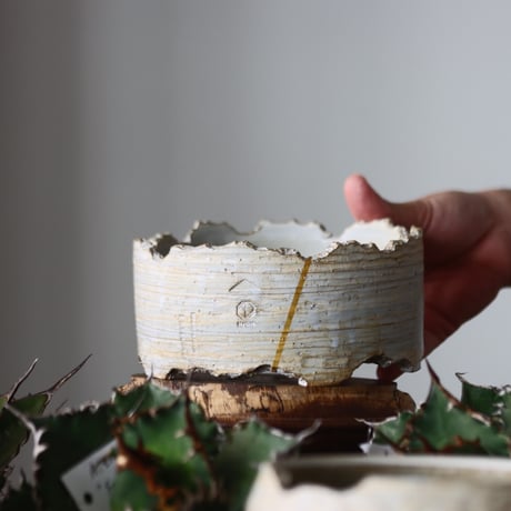 N/OH / MARBLE NOHBLE + Line / コロ鉢 / S   no.421-96