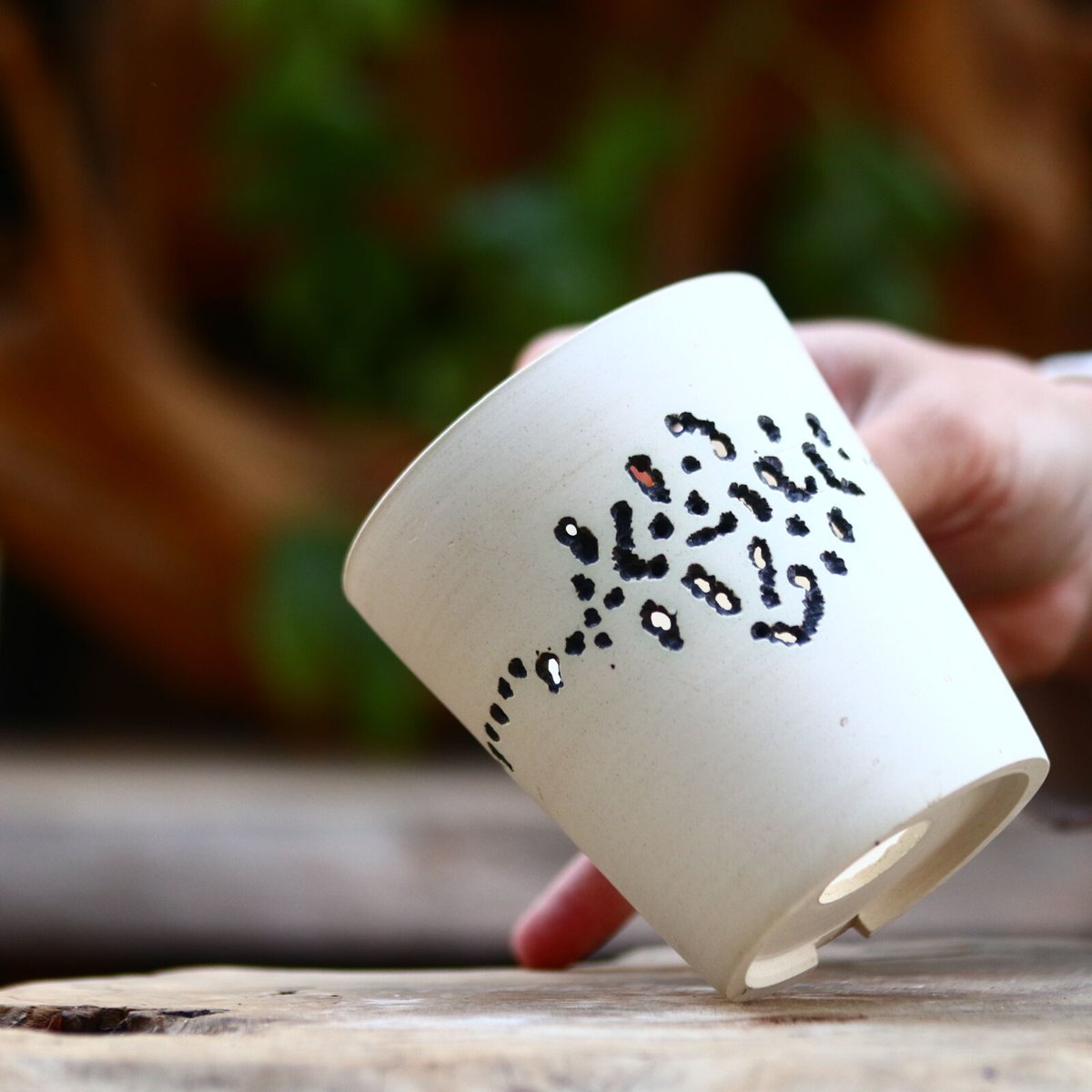 ふぅたけろうポット　ハク CATEGORY 2025/2/16 20:00~ | 芽の巣山