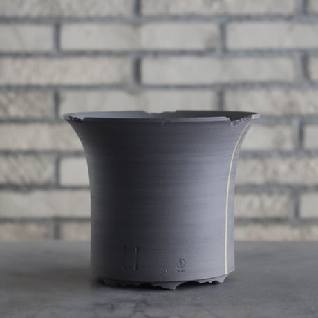 CATEGORY N/OH | 芽の巣山