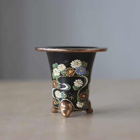 CATEGORY 万年青鉢 2025/4/6 20:00~ | 芽の巣山