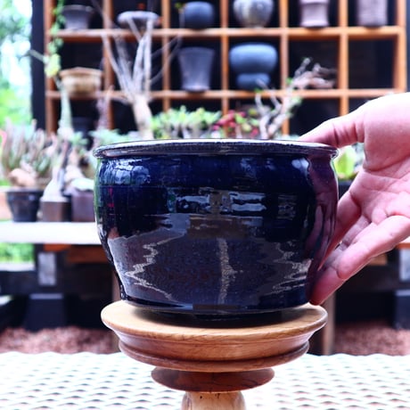 Tadao  Akutsu 〝瑠璃油″ ／ humanity pot       no.584