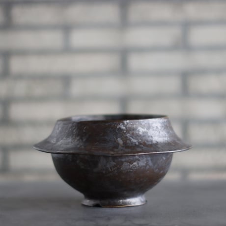 CATEGORY 大鉢 | 芽の巣山