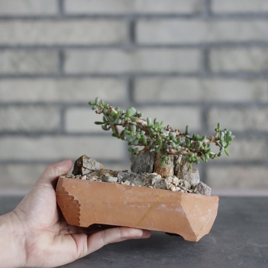 69ffc20c717fd92d5ea14051
