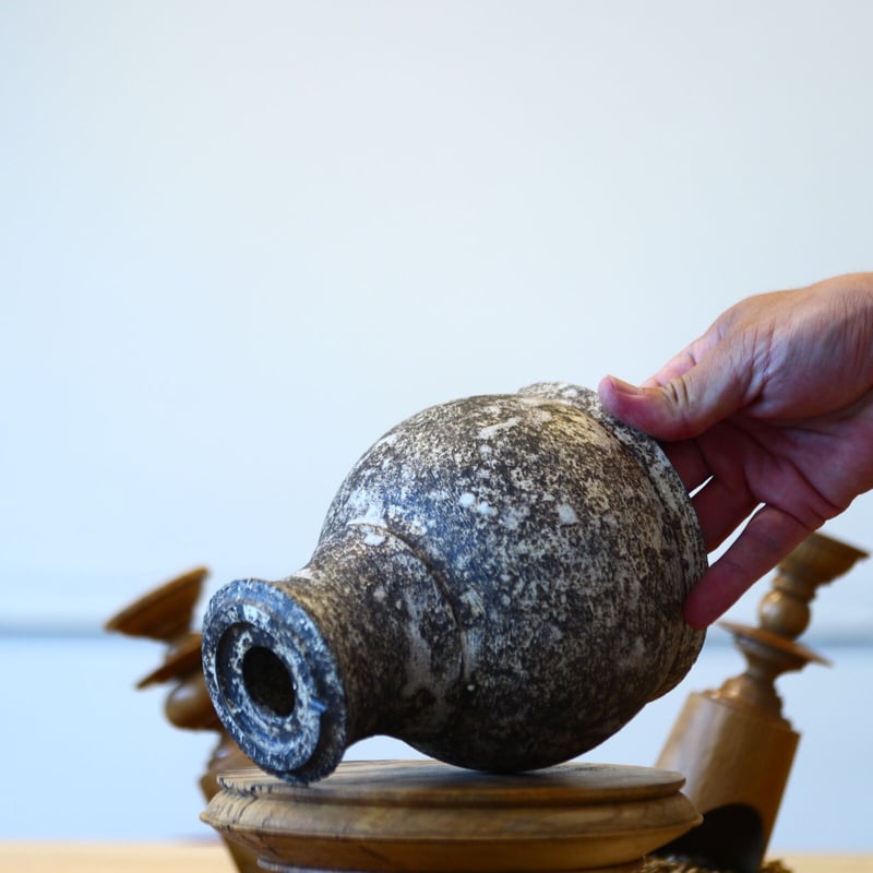 たけろうポット / シロサビ no.702-17 | 芽の巣山