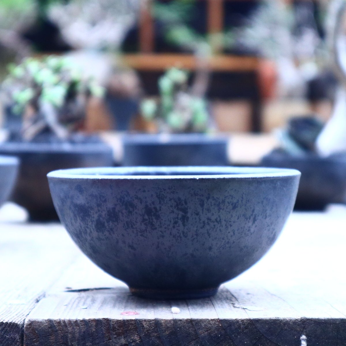 すーさん専用　たけろうポット/ テツ たけろうポット 椀型 テツ S no.905-1 | 芽の巣山