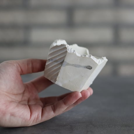 CATEGORY 3号鉢 | 芽の巣山