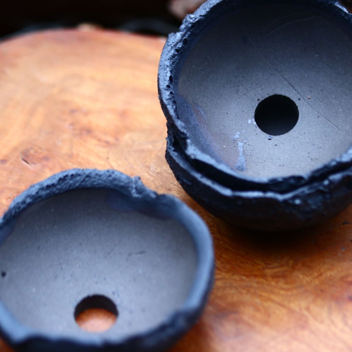 たけろうポット アサチギリ/ コクコク/ マメ no.213-8 | 芽の巣山