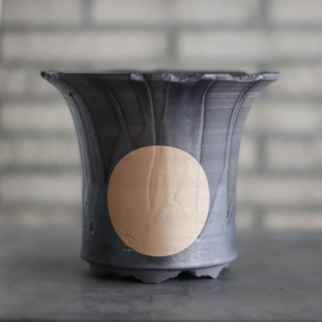 CATEGORY 大鉢 | 芽の巣山