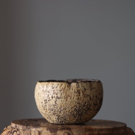 Kaori Ono / gaia / humanity pot   no.818-30