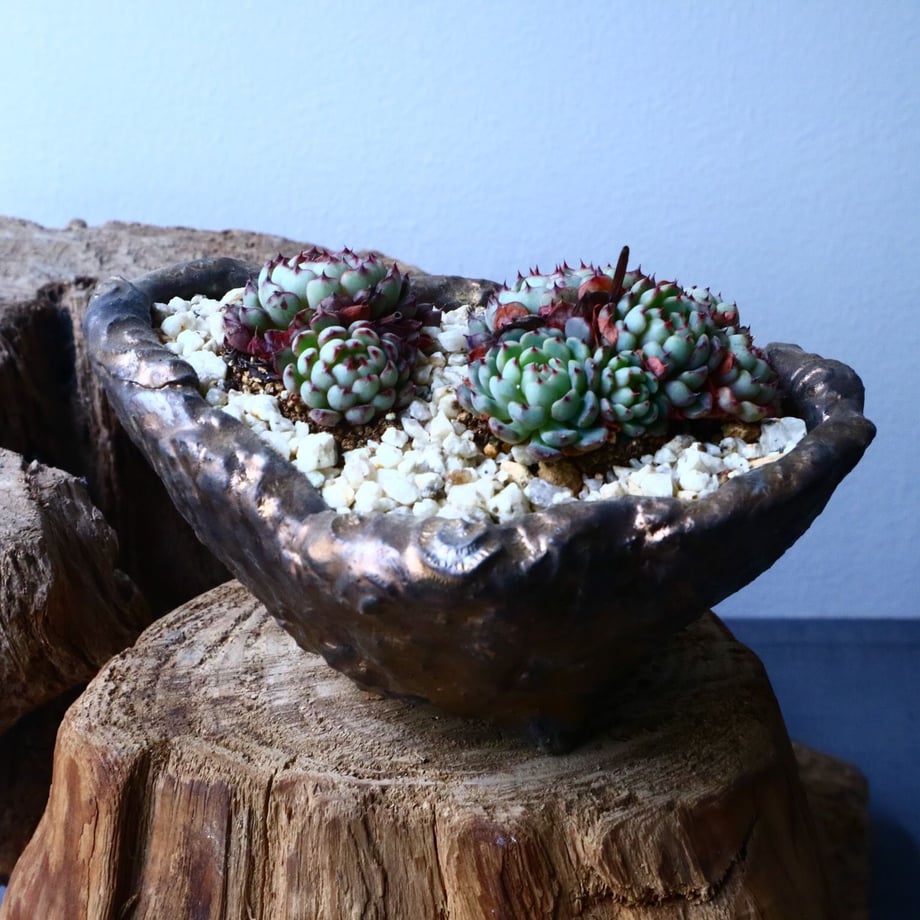 5c79e78be0c02243e7aaca06