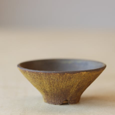KEI CONDO / BONSAI BACHI   no.223/50