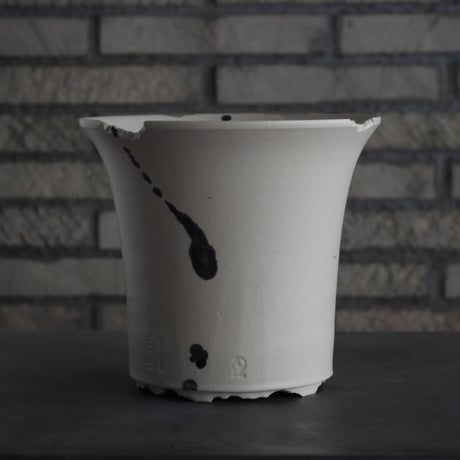 CATEGORY 大鉢 | 芽の巣山